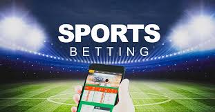 Betwinner  Tout ce que vous devez savoir sur cette plateforme de paris