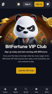 Mastering Live Baccarat Strategy at Bitfortune Tips and Insights -1178420418