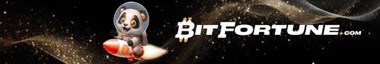 Understanding BNB Functionality at Bitfortune