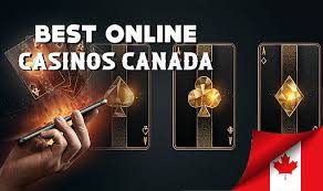 The Ultimate Guide to the Best Online Casinos